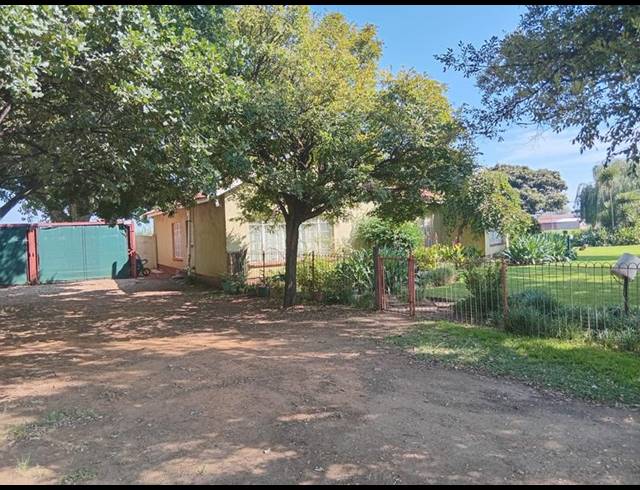 FARM FOR SALE IN SCHOONGEZICHT